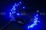 Winner Шнурок для комплекта на деревья 72 Led СИНИЙ 10м flash-w